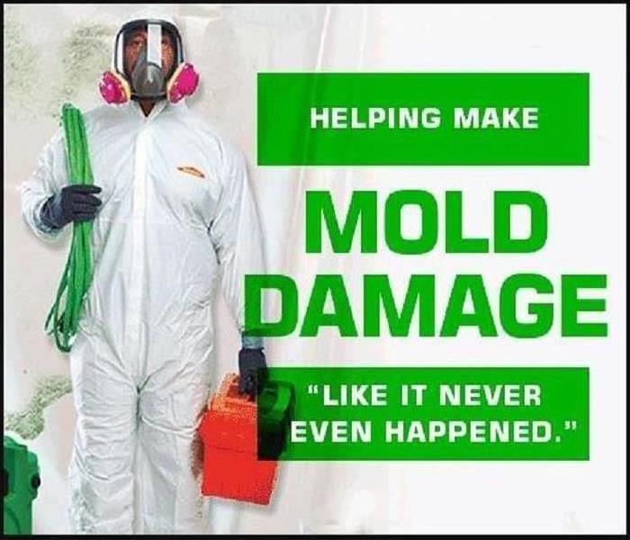 SERVPRO Technician with Protective Gear to Clean Mold